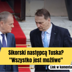 Copy-of-ELENA-UDREA-ISI-FACE-GRIJI-DIN-CE-O-SA-TRAIASCA-78-1